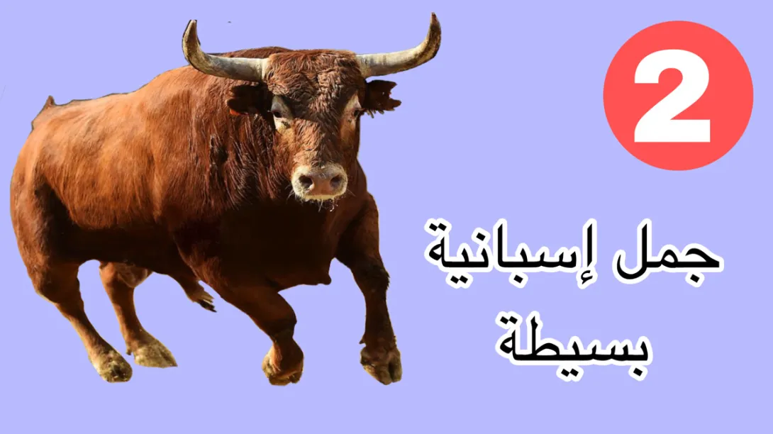 جمل بسيطة باللغة الإسبانية